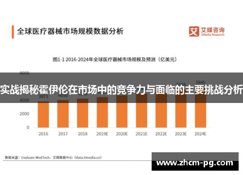 实战揭秘霍伊伦在市场中的竞争力与面临的主要挑战分析