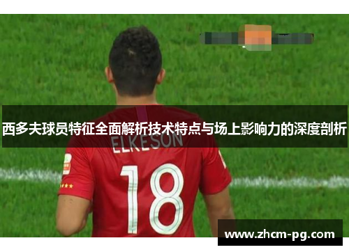 西多夫球员特征全面解析技术特点与场上影响力的深度剖析
