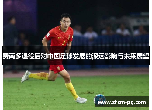 费南多退役后对中国足球发展的深远影响与未来展望