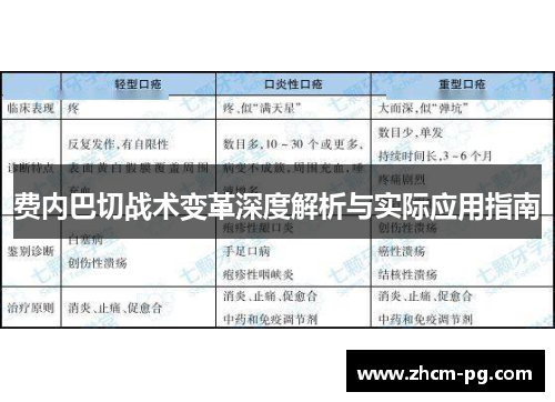 费内巴切战术变革深度解析与实际应用指南