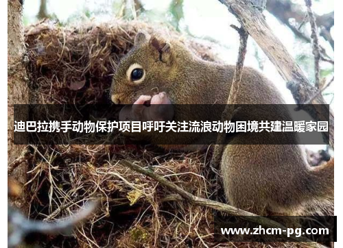 迪巴拉携手动物保护项目呼吁关注流浪动物困境共建温暖家园