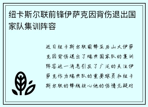 纽卡斯尔联前锋伊萨克因背伤退出国家队集训阵容